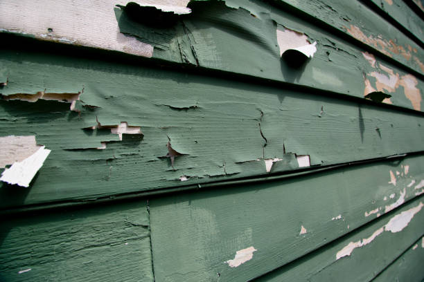 Best Custom Trim and Detailing for Siding  in Perry, MI