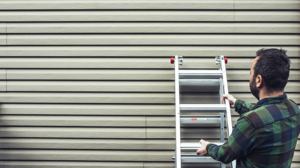 Best Aluminum Siding Installation  in Perry, MI