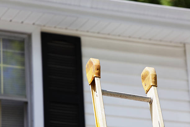Best Residential Vinyl Siding Installation  in Perry, MI
